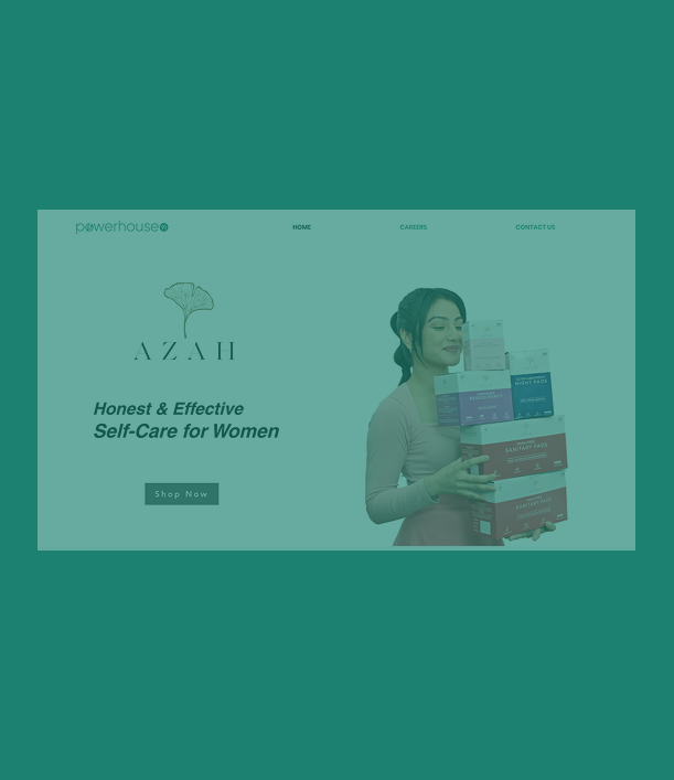 collaboration-between-primathon-and-different-case-studies